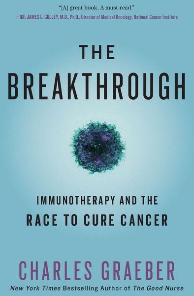 Produktbild: The Breakthrough
