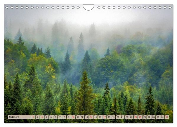 Produktbild: Leise durch den Wald. Sich Zeit nehmen und der Stille lauschen (Wandkalender 2026 DIN A4 quer), CALVENDO Monatskalender