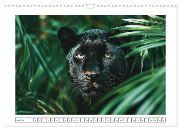 Produktbild: Magie der Wildnis (Wandkalender 2026 DIN A3 quer), CALVENDO Monatskalender