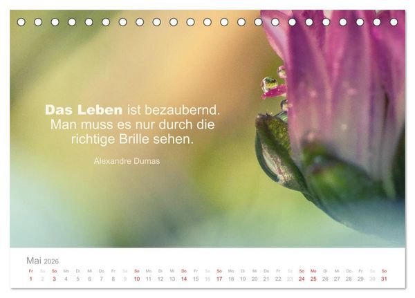 Produktbild: Zauberhafte Spr&uuml;che - Bunte Seelenbl&uuml;ten (Tischkalender 2026 DIN A5 quer), CALVENDO Monatskalender