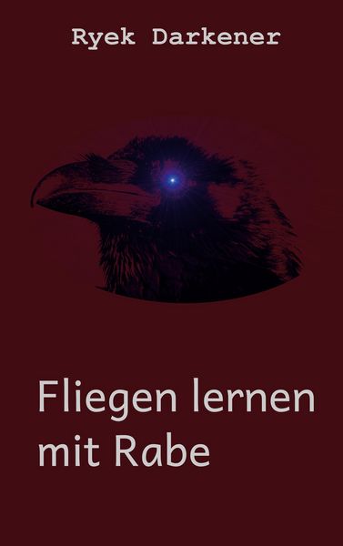 Produktbild: Fliegen lernen mit Rabe