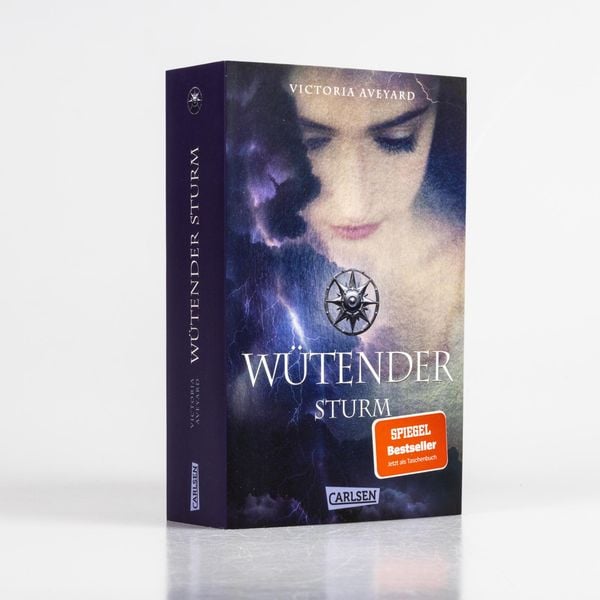 Produktbild: Wütender Sturm (Die Farben des Blutes 4)