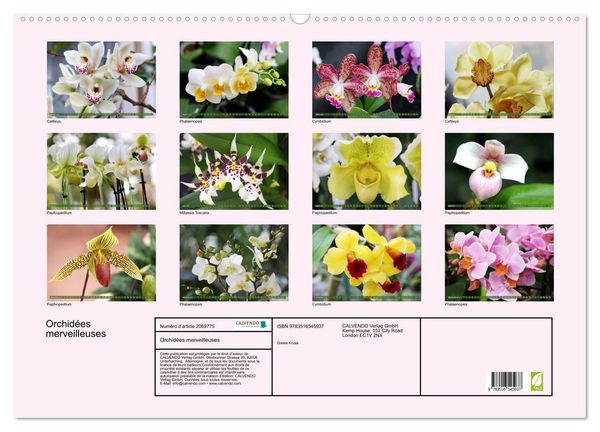 Produktbild: Orchid&eacute;es merveilleuses (Calendrier mural 2026 DIN A2 vertical), CALVENDO calendrier mensuel