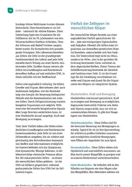 Produktbild: Epigenetik-Coaching erlernen & gezielt anwenden