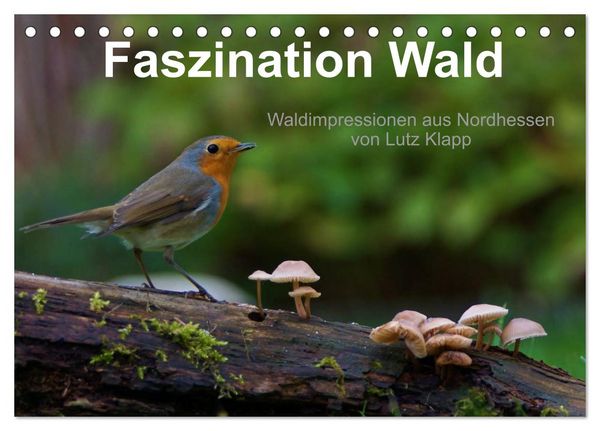 Produktbild: Faszination Wald. Waldimpressionen aus Nordhessen von Lutz Klapp (Tischkalender 2026 DIN A5 quer), CALVENDO Monatskalender