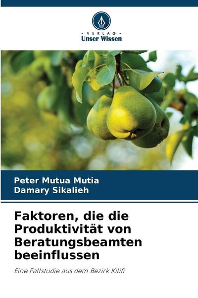 Produktbild: Faktoren, die die Produktivit&auml;t von Beratungsbeamten beeinflussen