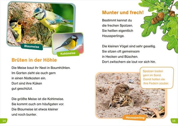 Produktbild: WAS IST WAS Erstes Lesen easy! Wie leben unsere V&ouml;gel?
