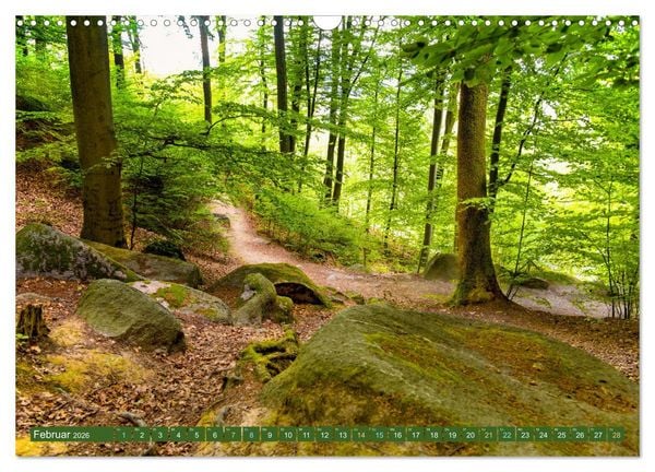 Produktbild: Das Felsenmeer - Natur pur im Odenwald (Wandkalender 2026 DIN A3 quer), CALVENDO Monatskalender