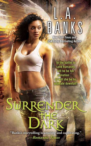 Produktbild: Surrender the Dark