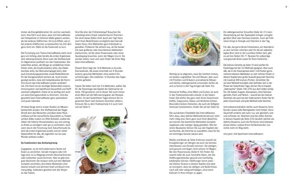 Produktbild: 365 Intervallfasten-Rezepte