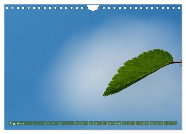 Produktbild: Bonsai ganz nah (Wandkalender 2026 DIN A4 quer), CALVENDO Monatskalender