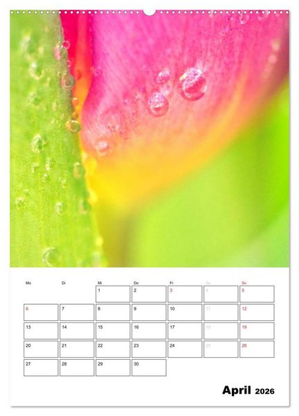 Produktbild: Zauberhafte Bl&uuml;tenwelt / Planer (Wandkalender 2026 DIN A2 hoch), CALVENDO Monatskalender