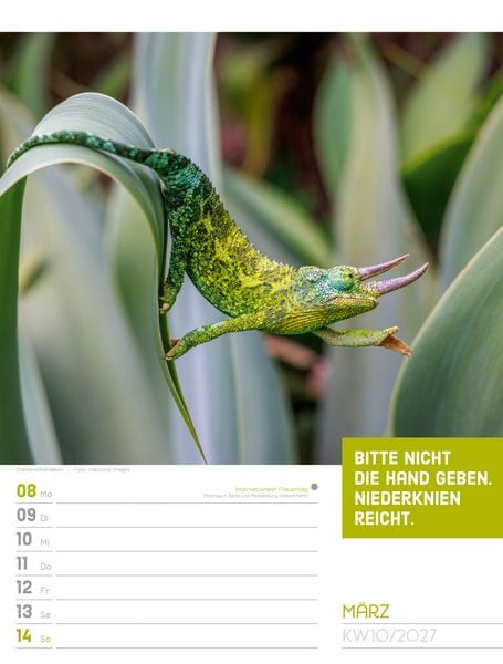 Produktbild: Tierisch Spr&uuml;chekalender Wochenplaner 2027