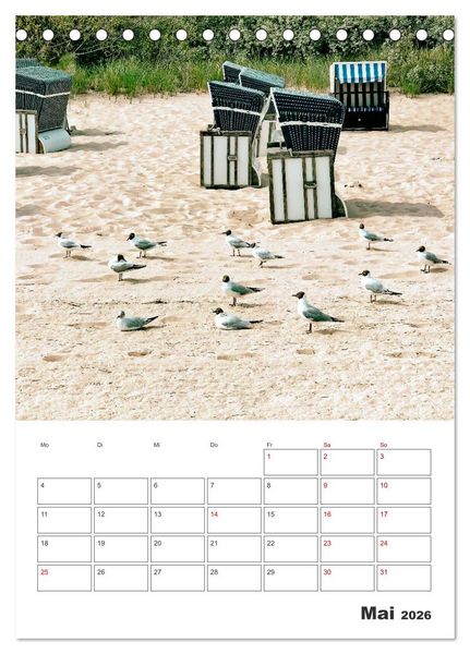 Produktbild: Usedom - Terminplaner (Tischkalender 2026 DIN A5 hoch), CALVENDO Monatskalender