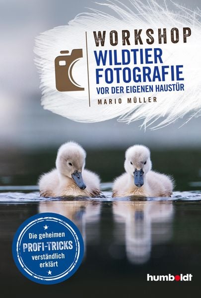 Workshop Wildtierfotografie vor der eigenen Haustür