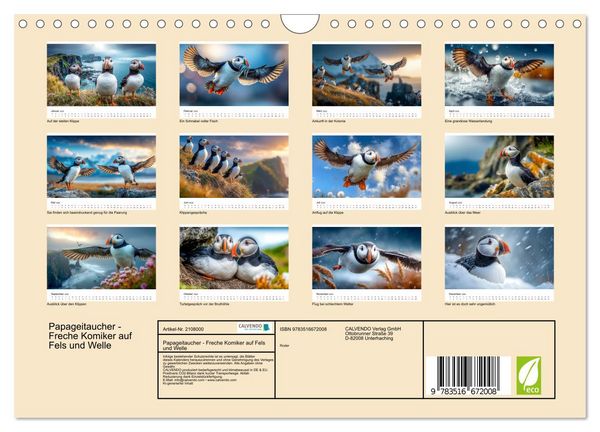 Produktbild: Papageitaucher - Freche Komiker auf Fels und Welle (Wandkalender 2026 DIN A4 quer), CALVENDO Monatskalender