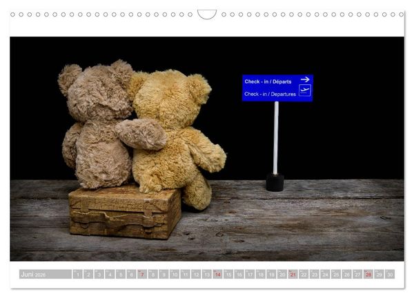 Produktbild: Eddy, der Teddy - 12 Bilder zum Schmunzeln (Wandkalender 2026 DIN A3 quer), CALVENDO Monatskalender