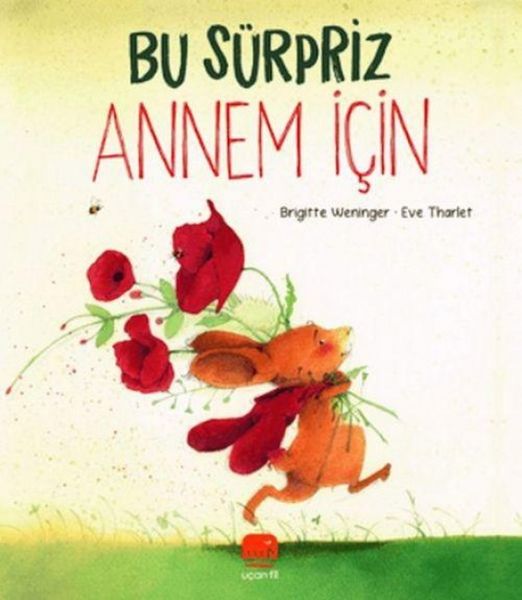 Produktbild: Bu S&uuml;rpriz Annem Icin