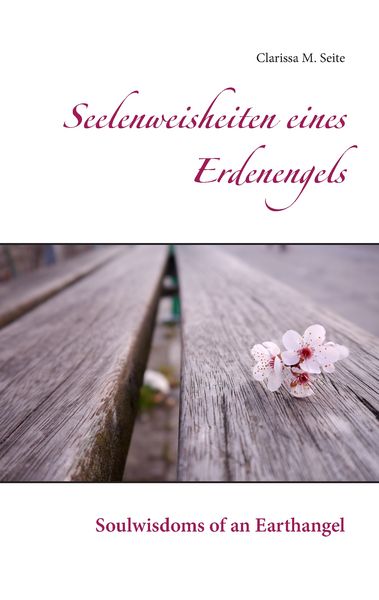 Seelenweisheiten eines Erdenengels, Taschenbuch von Clarissa M. Seite, BoD – Books on Demand, 9783743139206