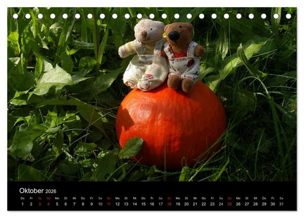Produktbild: Der B&auml;rchenkalender 2026 (Tischkalender 2026 DIN A5 quer), CALVENDO Monatskalender