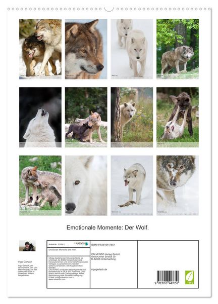 Produktbild: Emotionale Momente: Der Wolf. (hochwertiger Premium Wandkalender 2026 DIN A2 hoch), Kunstdruck in Hochglanz
