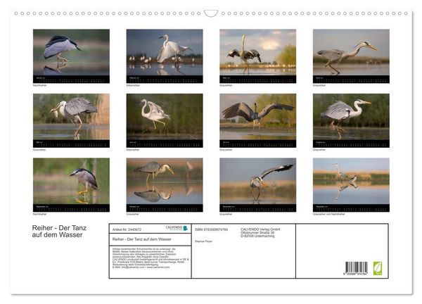 Produktbild: Reiher - Der Tanz auf dem Wasser (Wandkalender 2027 DIN A2 quer), CALVENDO Monatskalender