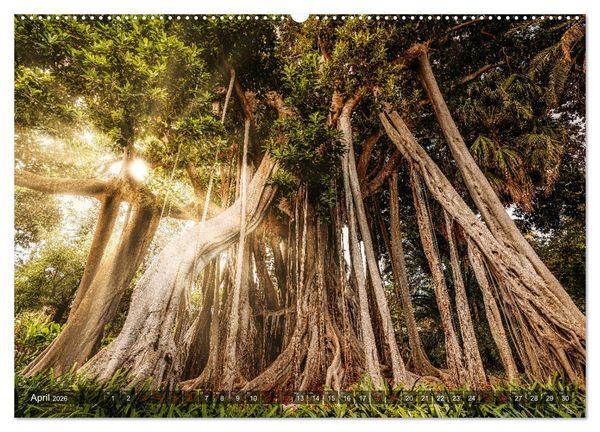 Produktbild: Die Kanarische Inseln Teneriffa, Gran Canaria und Fuerteventura (Wandkalender 2026 DIN A2 quer), CALVENDO Monatskalender
