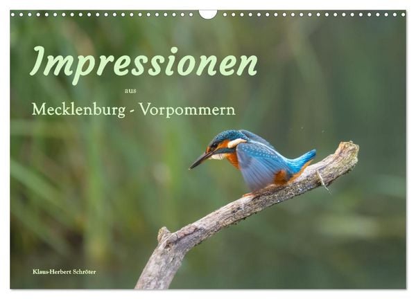 Impressionen aus Mecklenburg - Vorpommern (Wandkalender 2026 DIN A3 quer), CALVENDO Monatskalender