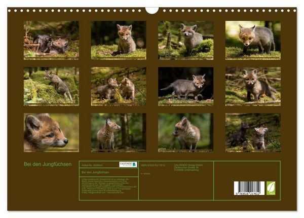 Produktbild: Bei den Jungf&uuml;chsen (Wandkalender 2026 DIN A3 quer), CALVENDO Monatskalender