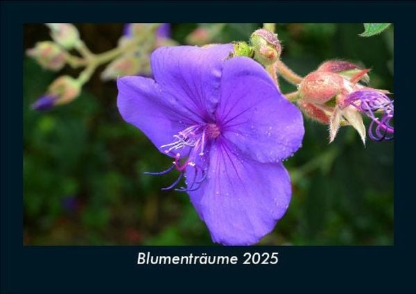 Produktbild: Blumentr&auml;ume 2025 Fotokalender DIN A5