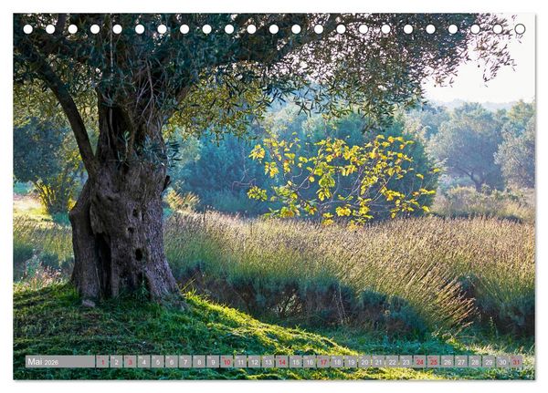 Produktbild: ISTRIEN (Tischkalender 2026 DIN A5 quer), CALVENDO Monatskalender