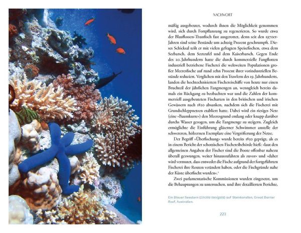 Produktbild: Das Meer