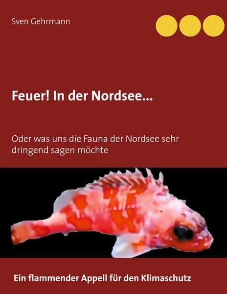 Produktbild: Feuer! In der Nordsee...