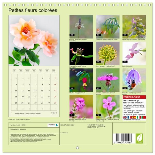 Produktbild: Petites fleurs color&eacute;es (Calendrier mural carr&eacute; 2027 30x30 cm) Calendrier double avec une page pour vos prises de notes
