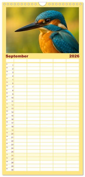 Produktbild: Familienplaner 2026 - Eisvogeltr&auml;ume am Wasser mit 5 Spalten (Wandkalender, 21 x 45 cm) CALVENDO