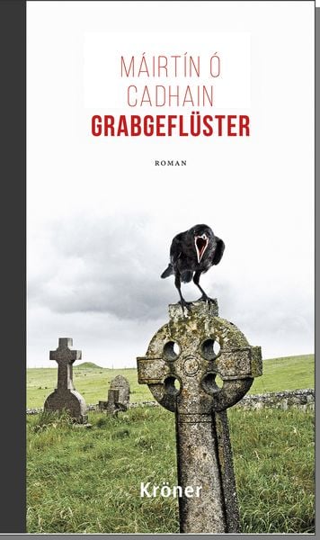 Produktbild: Grabgefl&uuml;ster