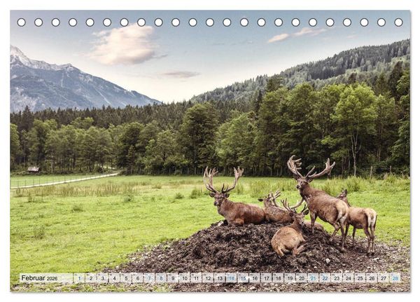 Produktbild: &Ouml;sterreich Berg und See (Tischkalender 2026 DIN A5 quer), CALVENDO Monatskalender