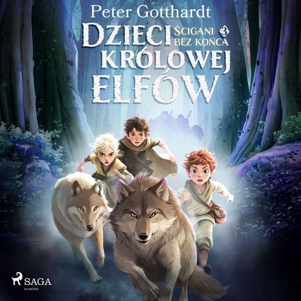 Dzieci królowej elfów 3 – Ścigani bez końca - Peter Gotthardt, Audio, 9788727308401
