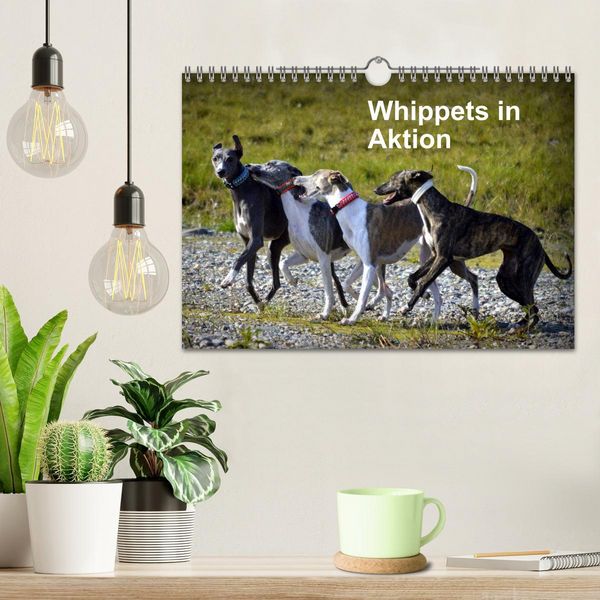 Produktbild: Whippets in Aktion (Wandkalender 2026 DIN A4 quer), CALVENDO Monatskalender