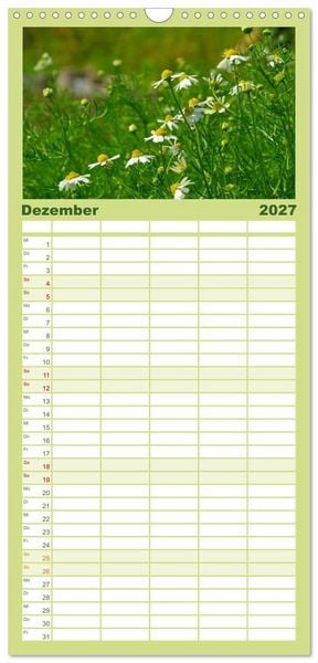 Produktbild: Familienplaner 2027 - Arzneipflanzen mit 5 Spalten (Wandkalender, 21 x 45 cm) CALVENDO