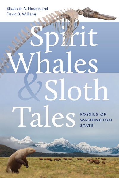 Produktbild: Spirit Whales and Sloth Tales