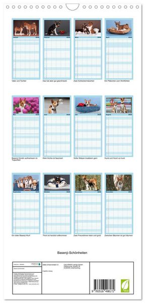 Produktbild: Familienplaner 2026 - Basenji-Sch&ouml;nheiten mit 5 Spalten (Wandkalender, 21 x 45 cm) CALVENDO
