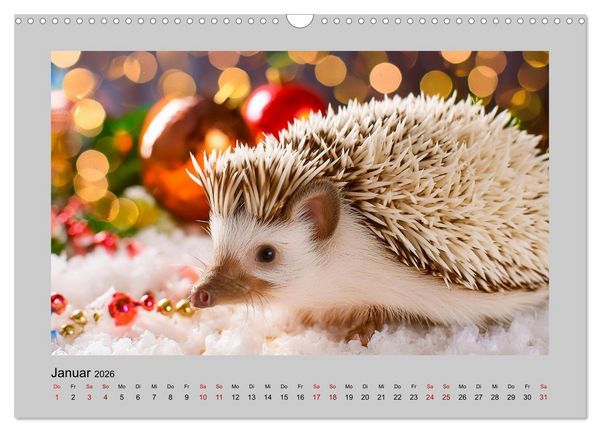 Produktbild: Mein Igel-Kalender (Wandkalender 2026 DIN A3 quer), CALVENDO Monatskalender