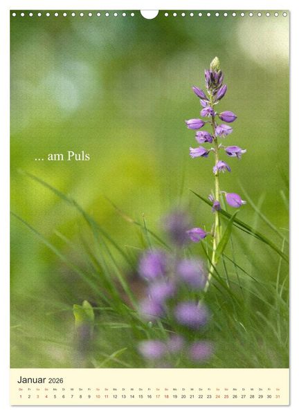 Produktbild: flowers (Wandkalender 2026 DIN A3 hoch), CALVENDO Monatskalender