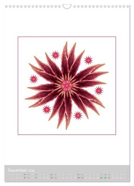 Produktbild: Pflanzen - Mandalas aus Bl&uuml;ten und Bl&auml;ttern (Wandkalender 2026 DIN A3 hoch), CALVENDO Monatskalender