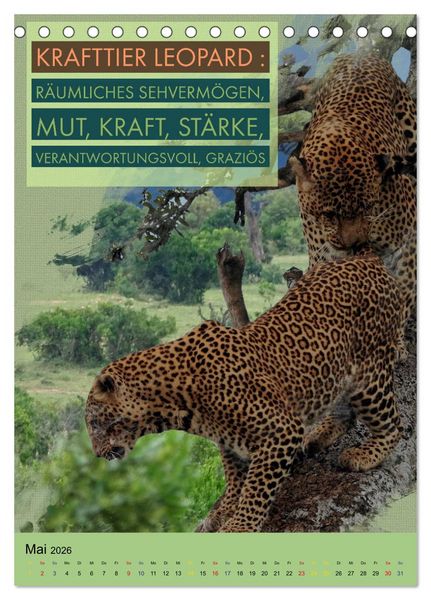 Produktbild: Afrikanische Krafttiere und deren Bedeutung (Tischkalender 2026 DIN A5 hoch), CALVENDO Monatskalender