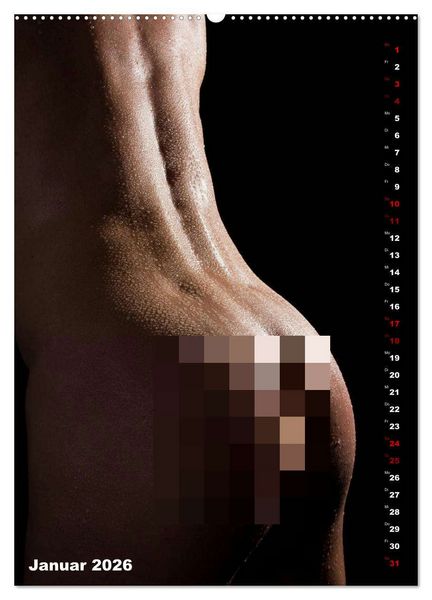 Produktbild: Andro~Po~sophisches (Wandkalender 2026 DIN A2 hoch), CALVENDO Monatskalender