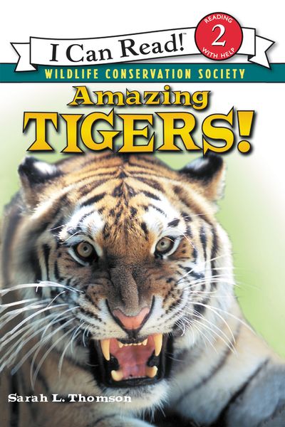 Produktbild: Amazing Tigers!