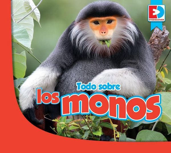 Produktbild: Todo Sobre Los Monos
