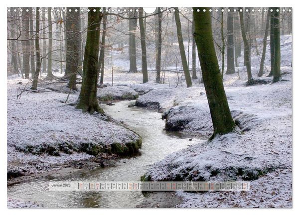 Produktbild: Wald im Bergischen Land 2026 (Wandkalender 2026 DIN A3 quer), CALVENDO Monatskalender